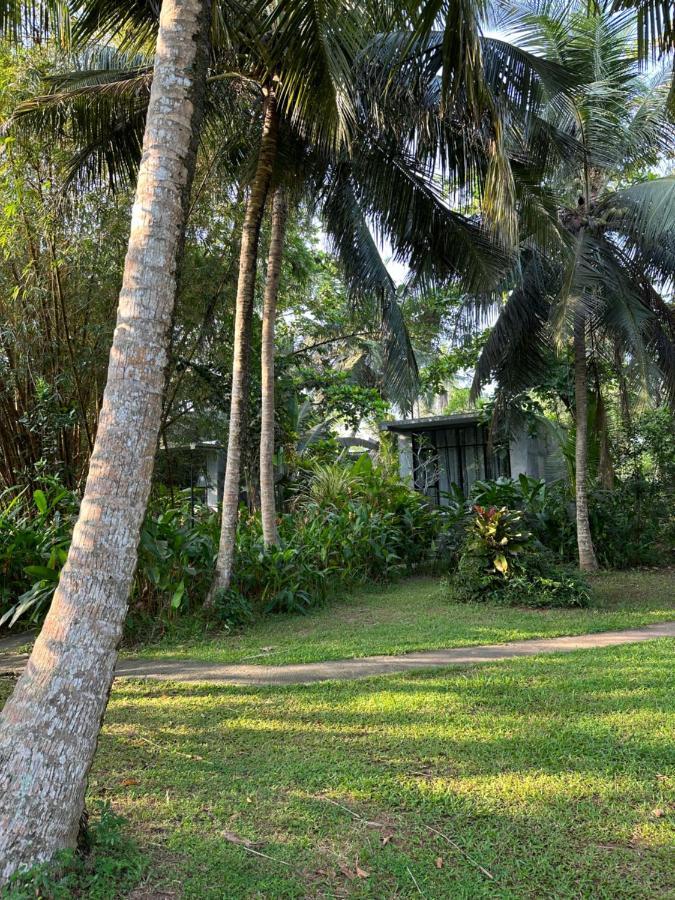 Hotel Dreamtime Sri Lanka Hikkaduwa Exterior foto