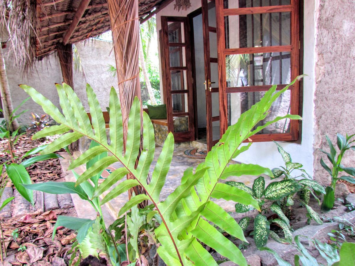 Hotel Dreamtime Sri Lanka Hikkaduwa Exterior foto